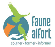 Faune Alfort