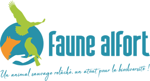 Faune Alfort