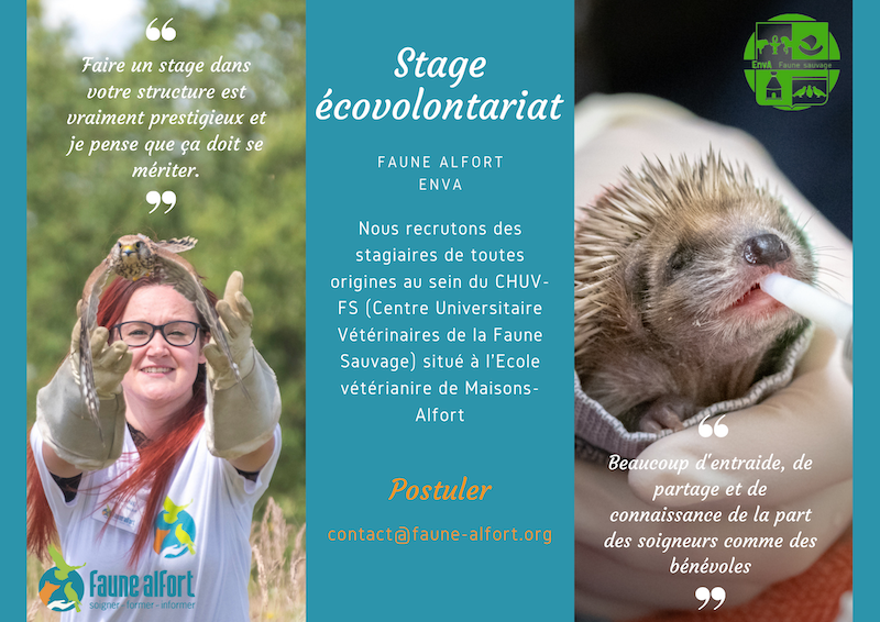 Appel stage écovolontariat