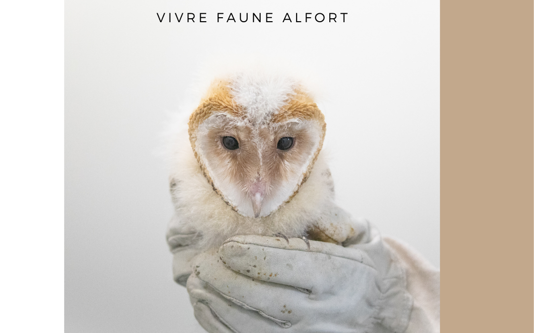 Vivre Faune Alfort, l’expo!