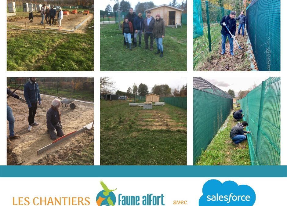 Les chantiers Faune Alfort avec Salesforce