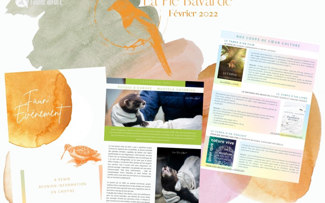 La Pie Bavarde – Février 2022
