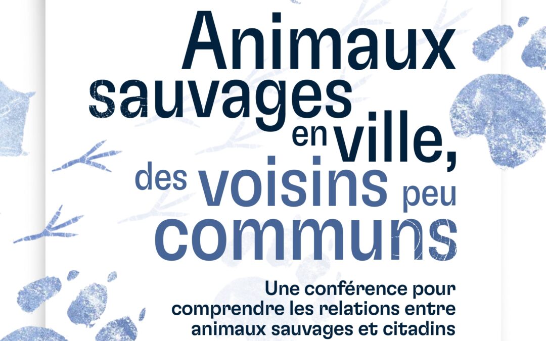 Animaux sauvages en ville, des voisins peu communs