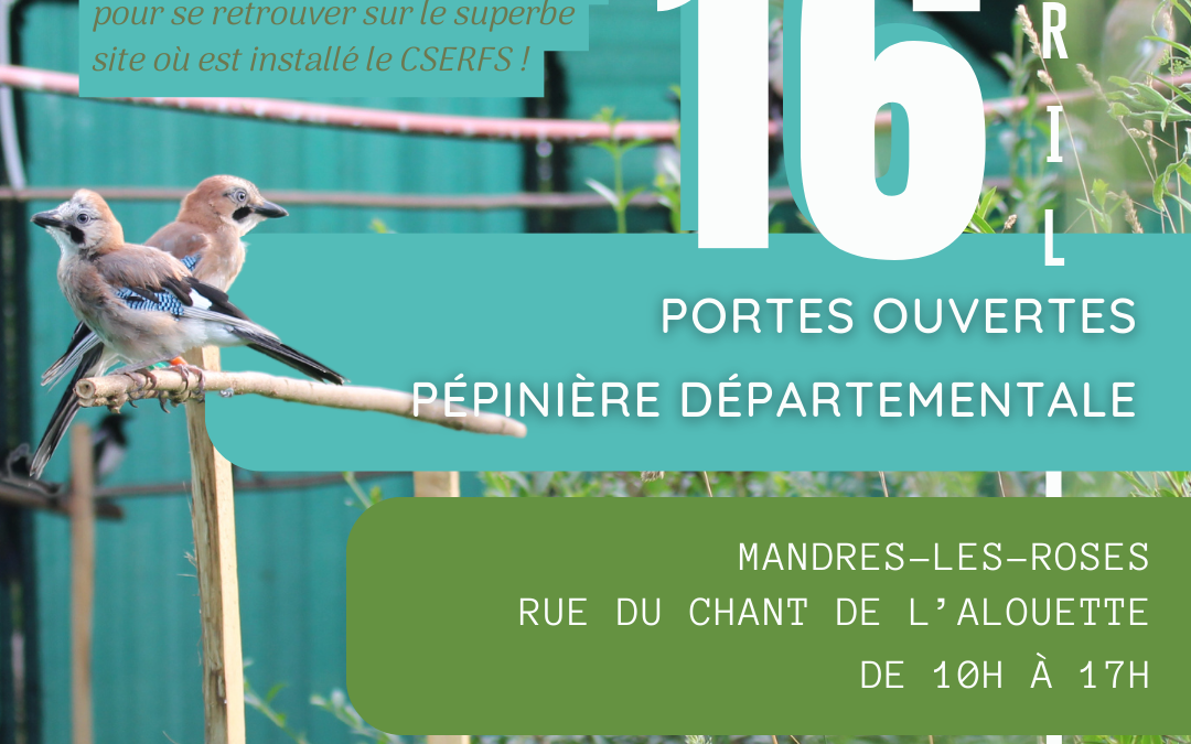 Journées portes ouvertes de la pépinière du Val de Marne