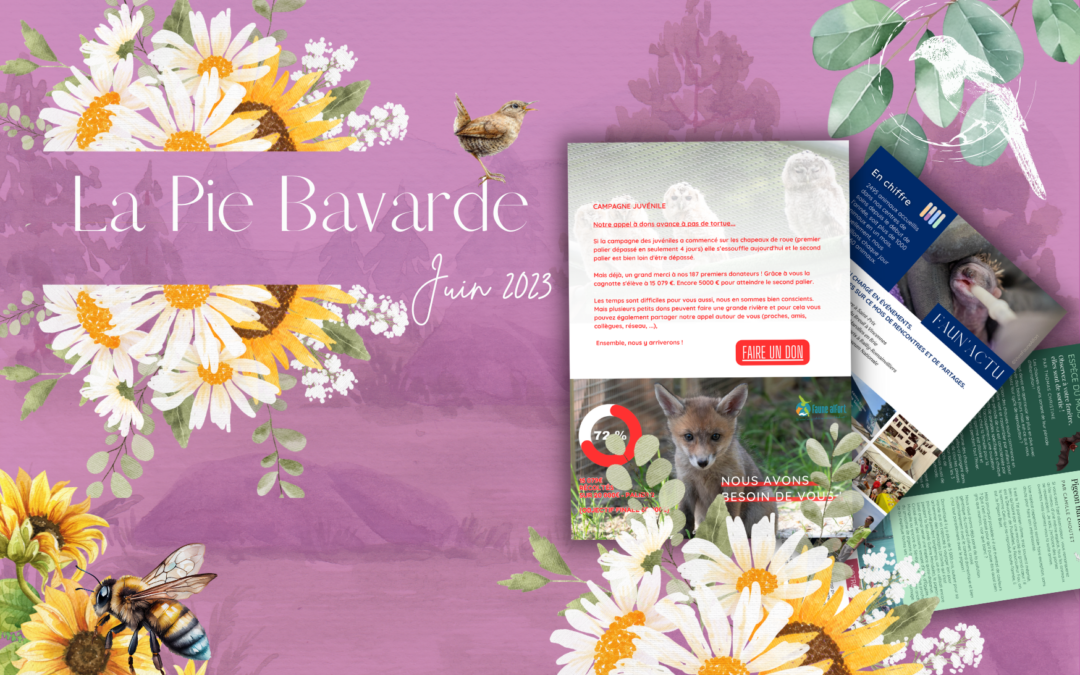 La Pie Bavarde – Juin 2023