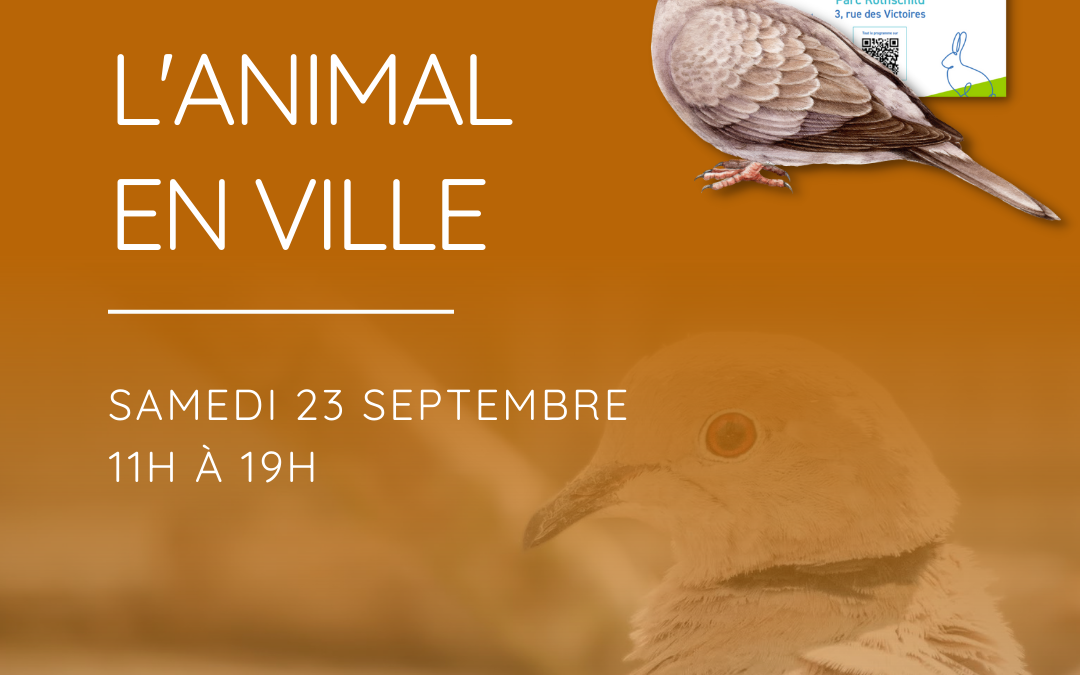 L’Animal en Ville – Boulogne-Billancourt