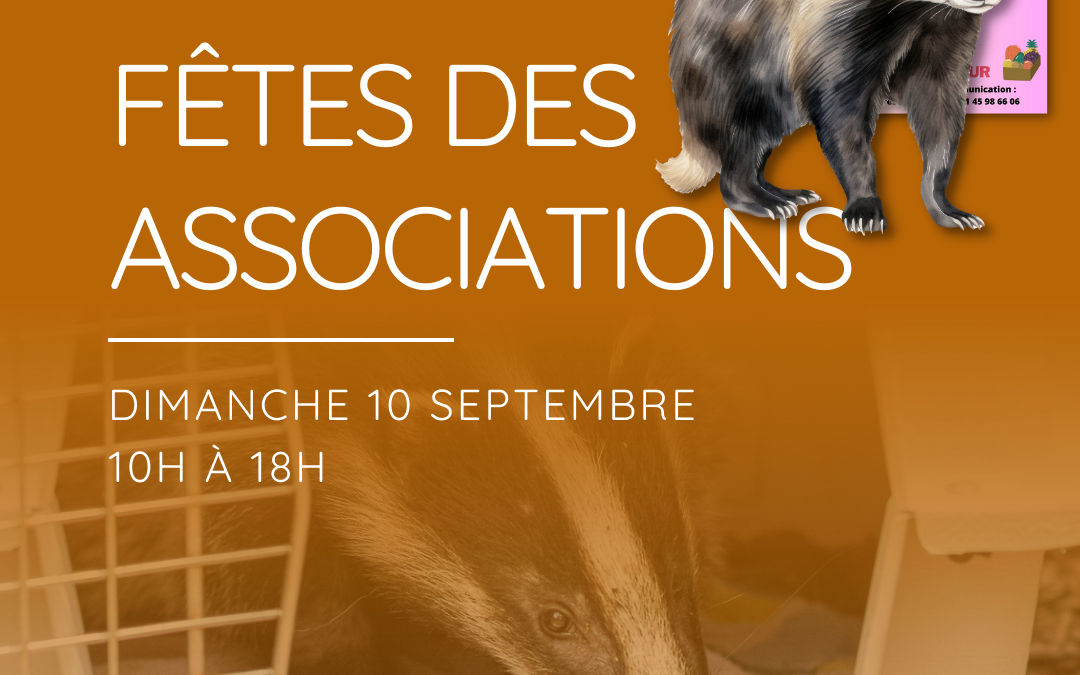 Fêtes des associations – Mandres-les-Roses