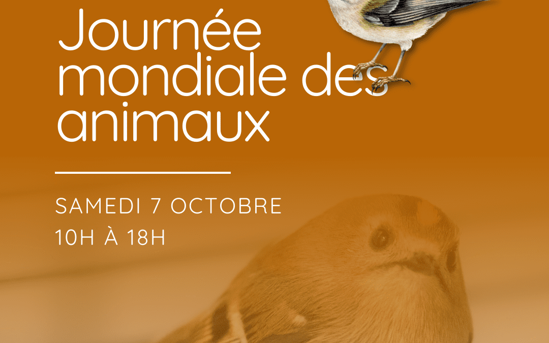 Journée mondiale des animaux – Drancy