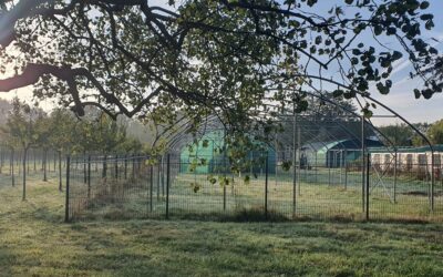 Chantier au CSERFS