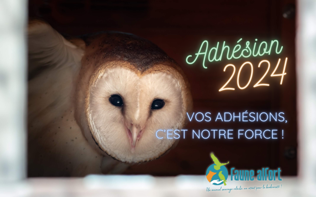 Campagne adhésion 2024