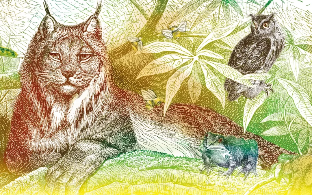 Fête de la Nature – MNHN