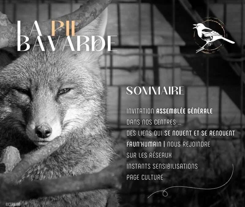 La pie bavarde | Janvier-Février 2025