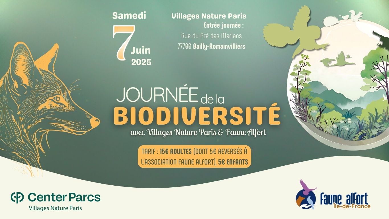 Bannière site(1) journée de la biodiversité