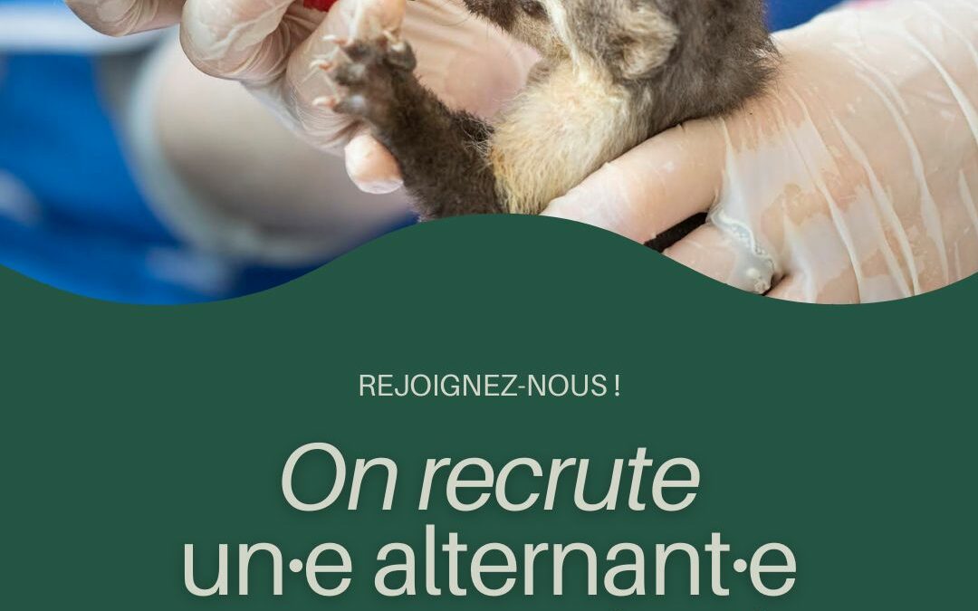 Faune Alfort recrute un·e stagiaire en communication