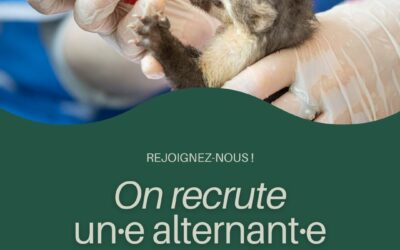 Faune Alfort recrute un·e secrétaire administrative en CDI