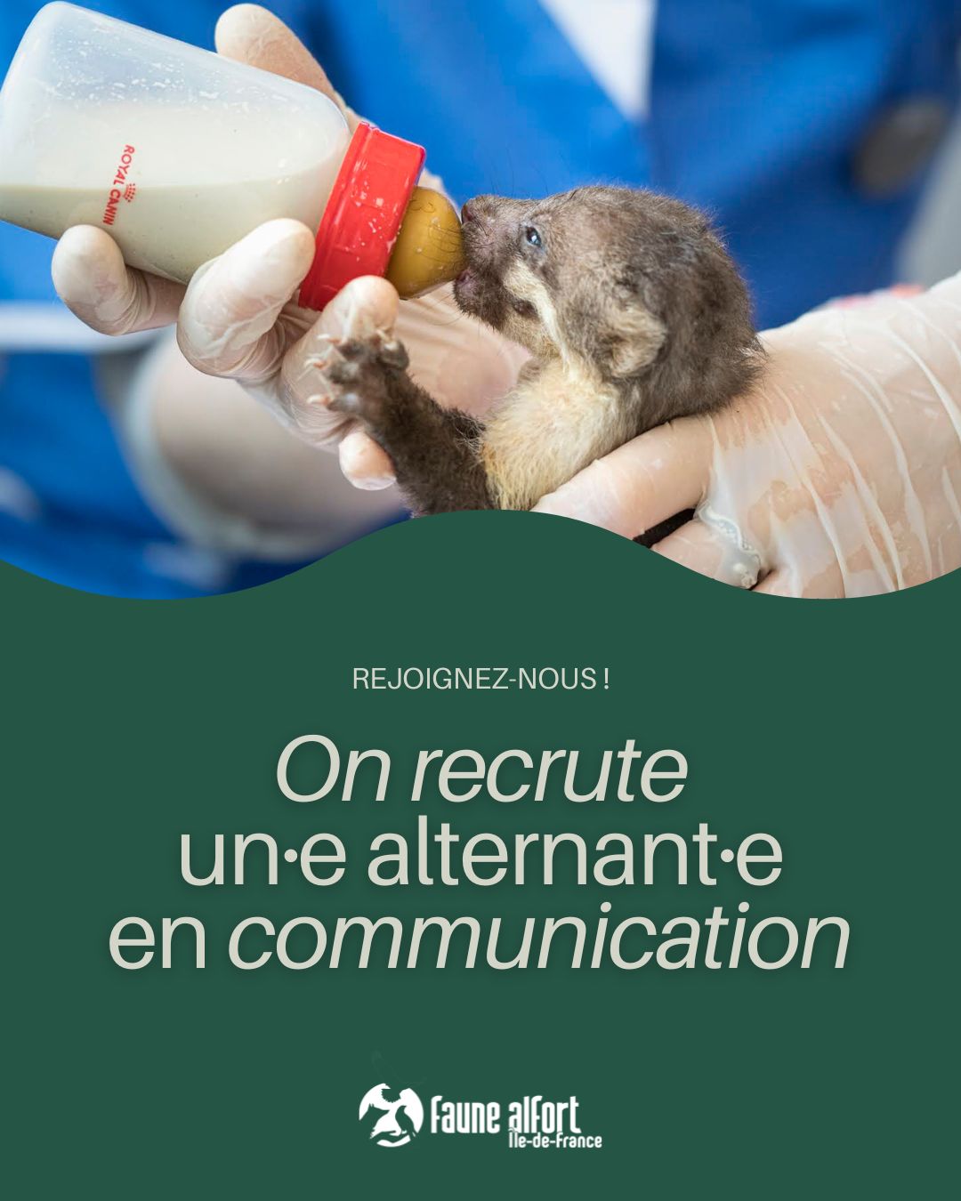 recrutement alternance faune alfort communication