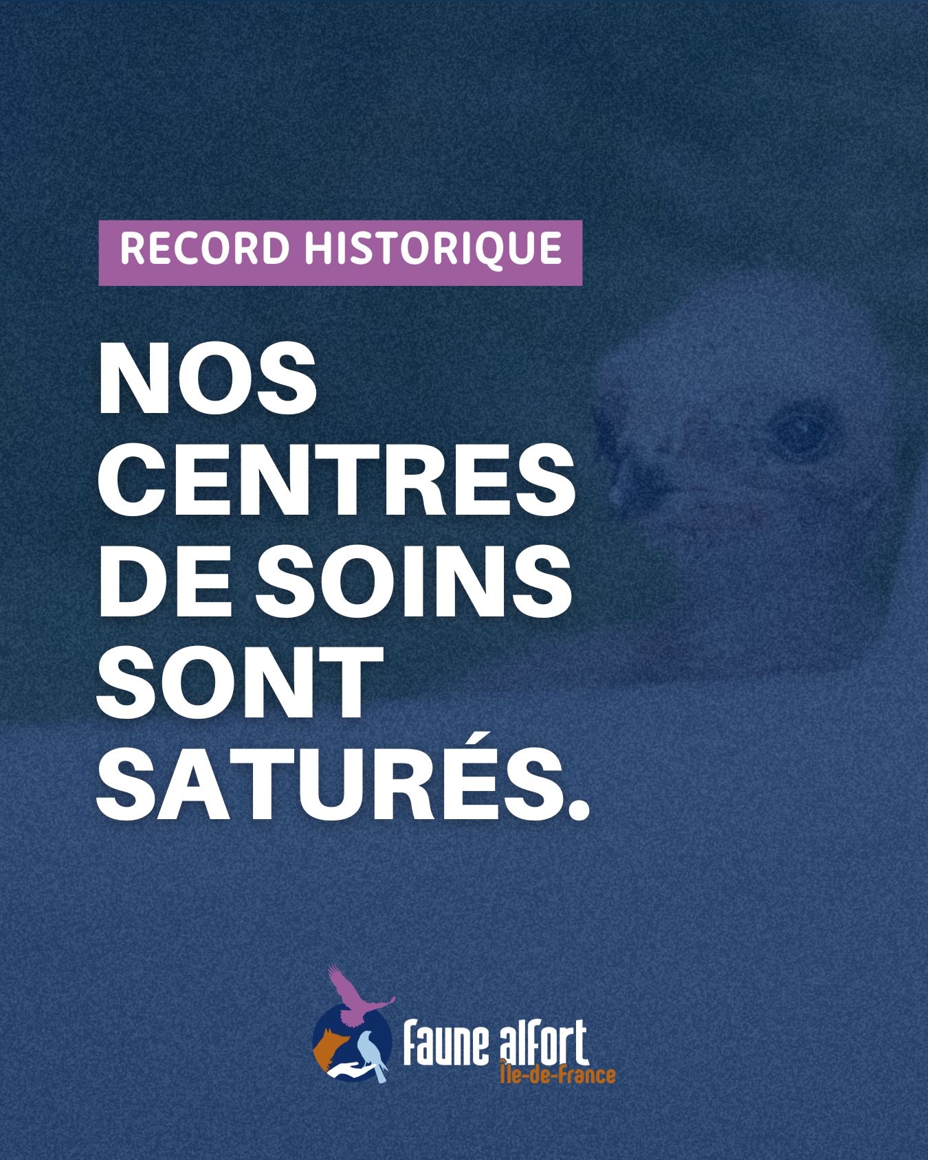Centres saturés recrutement alternance faune alfort communication