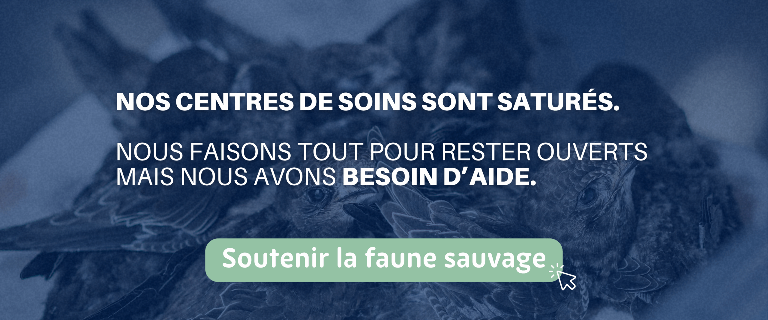 saturation centres