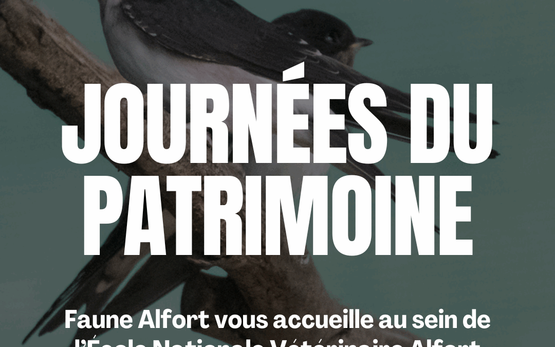 Les Journées du Patrimoine 2025