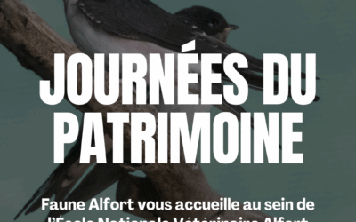 Les Journées du Patrimoine 2025