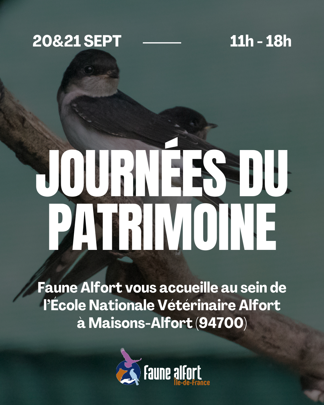 Journées du Patrimoine 2025 Journées du Patrimoine Maisons-Alfort