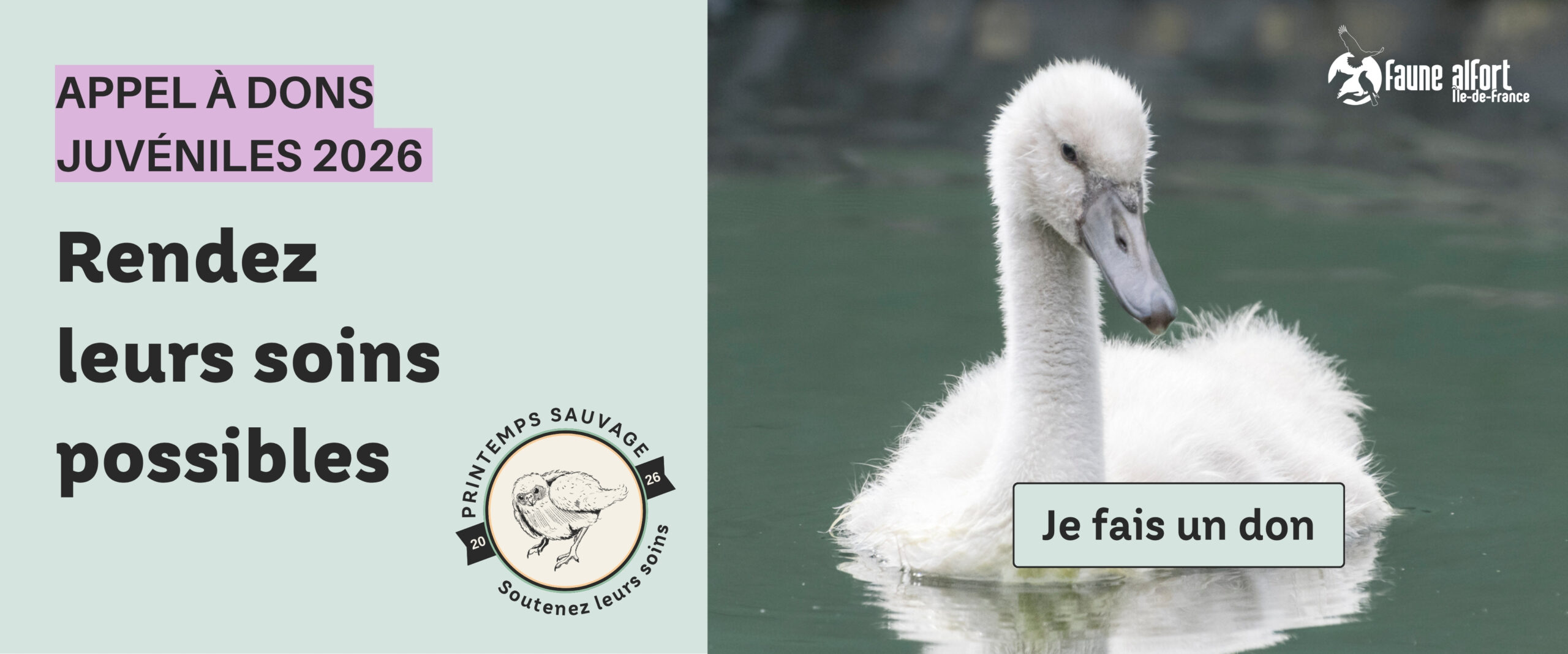 printemps sauvage - appel à dons juvéniles