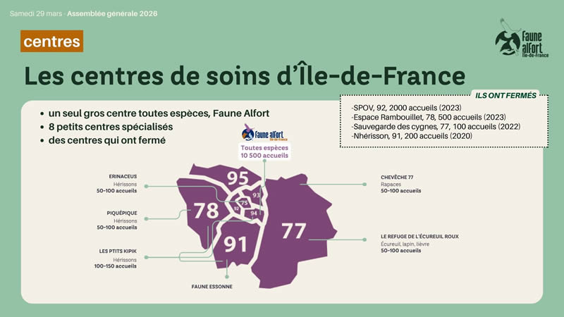 centre de soins faune sauvage ile de france