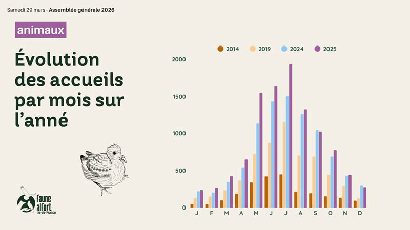 Evolution accueils de la faune sauvage
