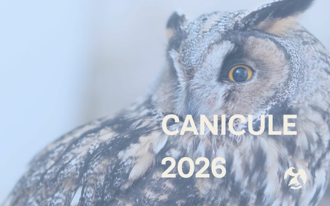 Canicule 2026 : Faune Alfort face à une hausse sans précédent des accueils d’animaux sauvages