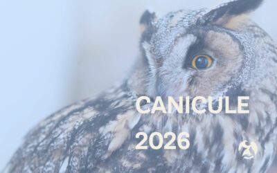 Canicule 2026 : Faune Alfort face à une hausse sans précédent des accueils d’animaux sauvages