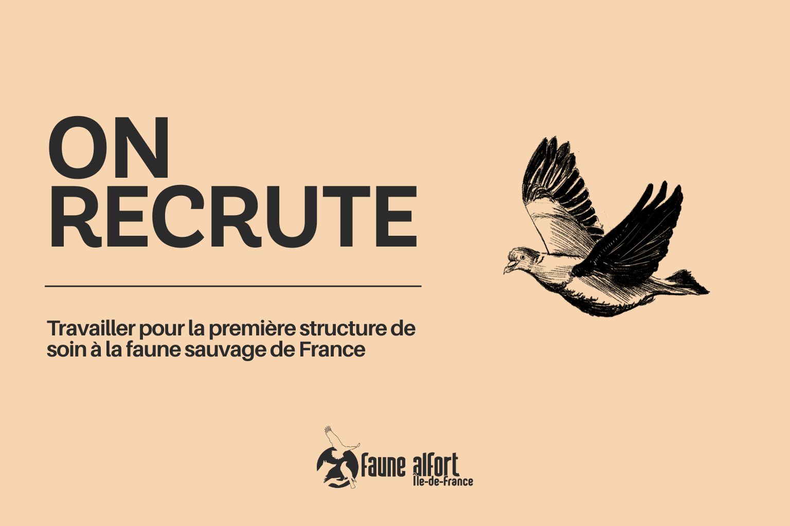 Recrutement administratice<br />

