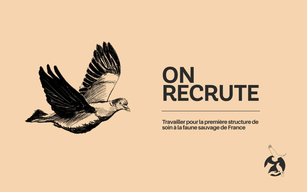 Faune Alfort recrute un·e assistant·e de gestion administrative en CDI