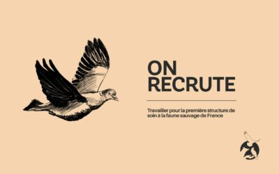 Faune Alfort recrute un·e assistant·e de gestion administrative en CDI