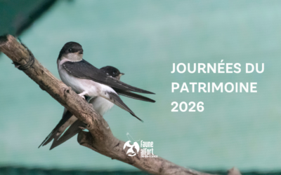Retrouvez Faune Alfort aux Journées européennes du patrimoine 2026