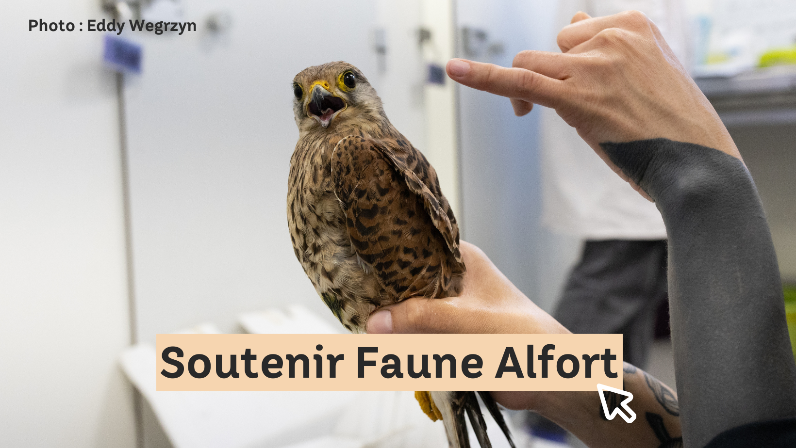 Visuels Mails (16) Soutenir Faune Alfort