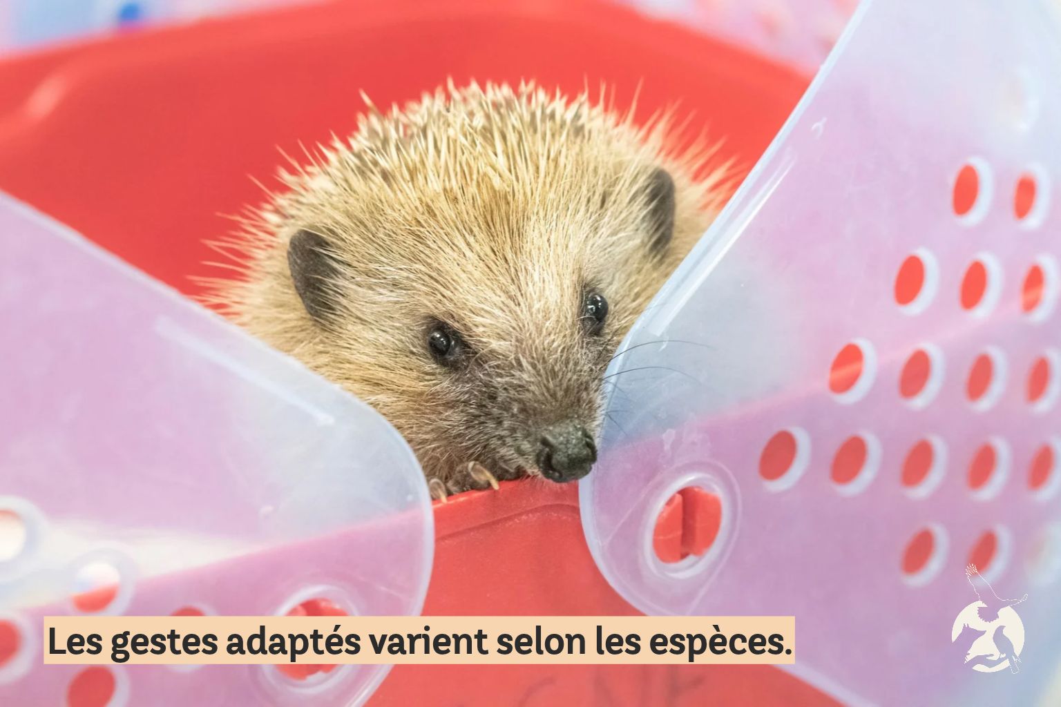 Chiffres clés haute saison 2026