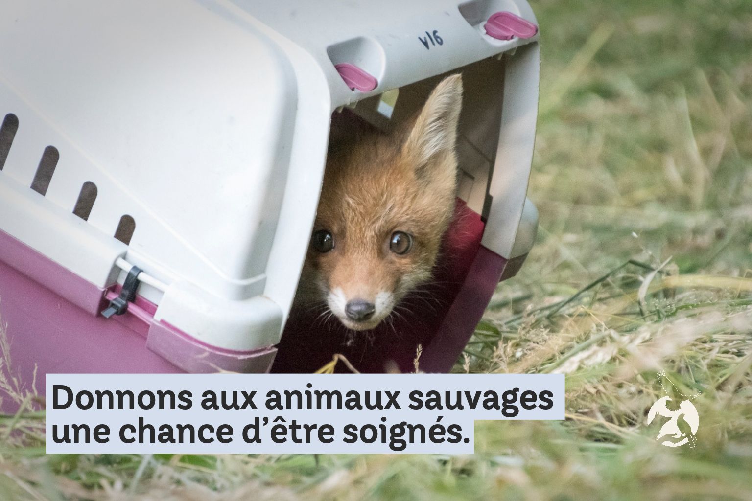 Soutenir Faune Alfort